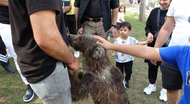 Çekmeköyde yavru ayı Liva banyo yaptı, vatandaşlar ilgiyle izledi