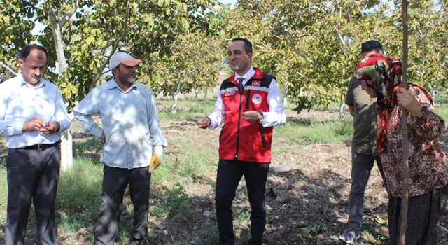 Ceviz Yetiştiriciliği Projeleri Devam Ediyor