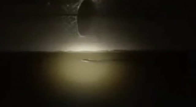 Diyarbakırda nesli tükenmekte olan su samuru görüldü