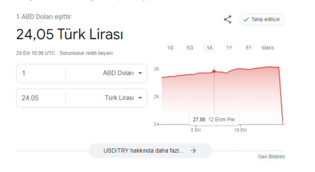 Google aramada Dolar 24 TL ye geriledi! Görenler hayrete düştü