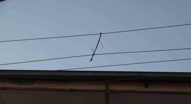Elektrik telleri birbirine değmesin diye ‘ağaç dalı ile bağlanmış
