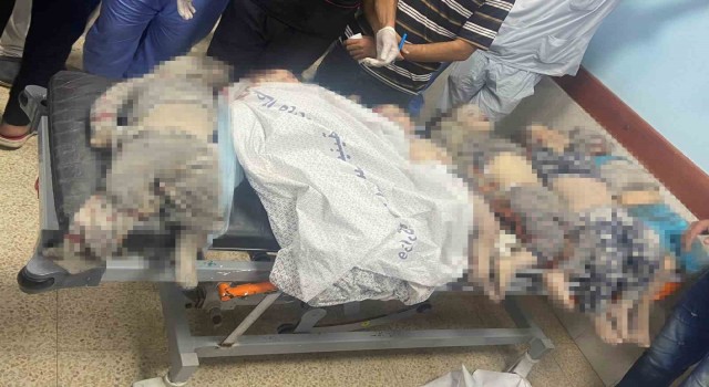 Filistinli doktor çocukların cenazesi önünde isyan etti: Bu çocukların suçu ne?