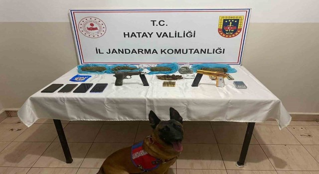 Hatayda bir araçta yapılan aramada;2 tabanca ve 1 kilo 250 gram esrar ele geçirildi