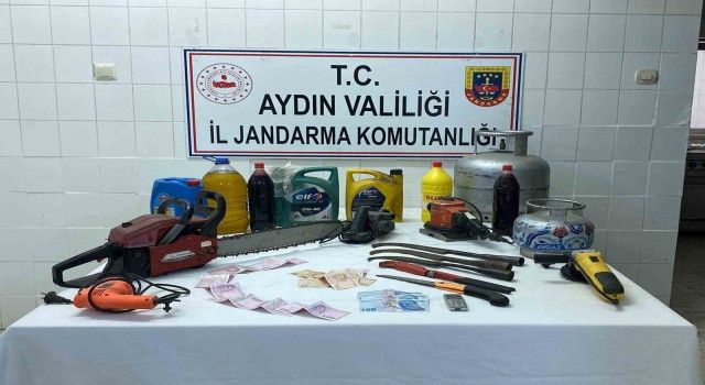 Hırsızı yakalamak için bin 200 saatlik kamera görüntüsü izlediler