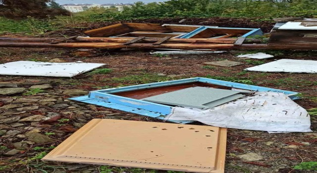 İlçe merkezine inen ayı kovanları parçaladı