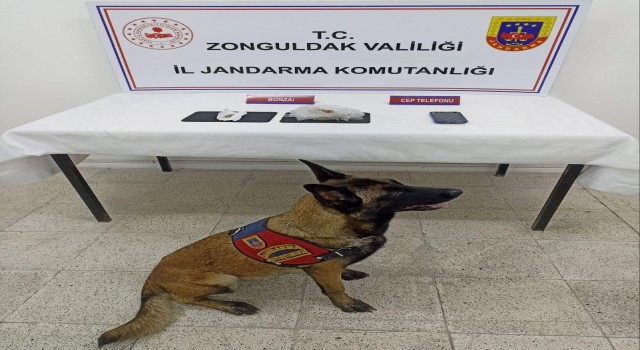 Jandarmadan uyuşturucu operasyonu, 23 gram bonzai ele geçirildi