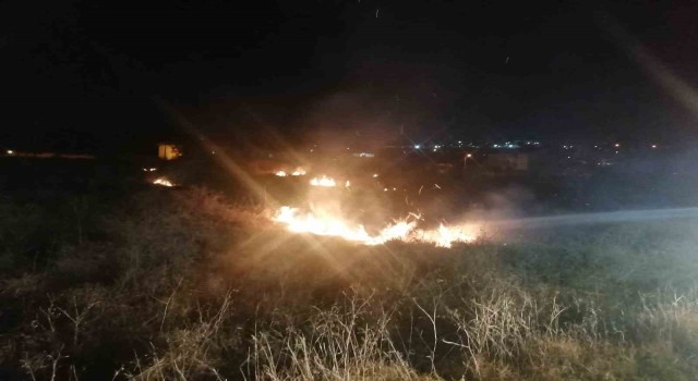 Kavakta anız yangını