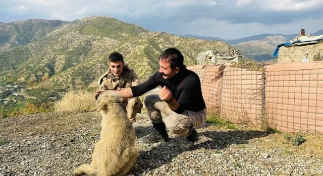 Kaymakamın bulduğu yavru köpekler güvenlik güçlerine arkadaş oldu