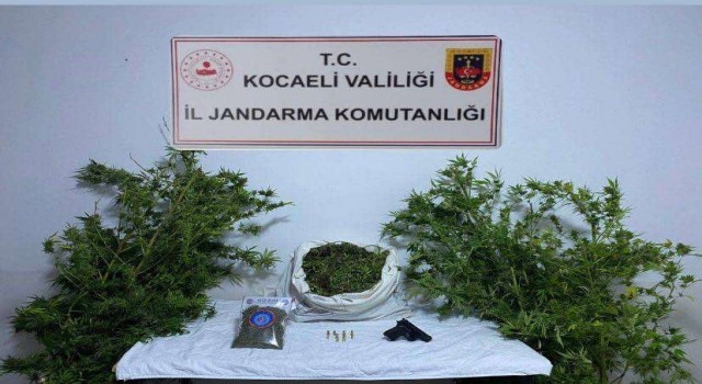 Kocaelide 3 ikamete uyuşturucu operasyonu