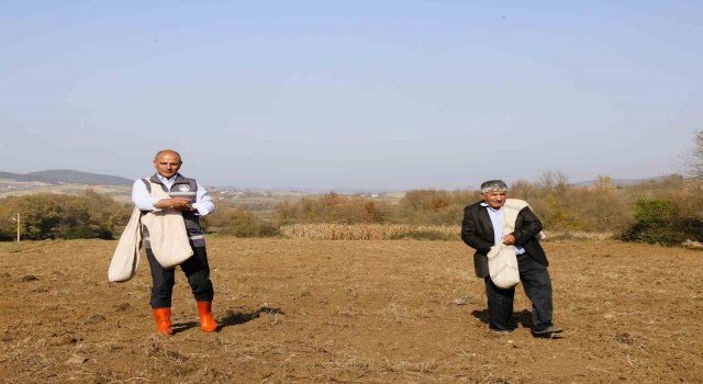Körfezli çiftçilere sertifikalı buğday tohumu dağıtılacak