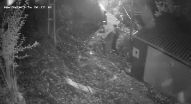 Köy merkezine inen ayıları torpil atarak kaçırdılar
