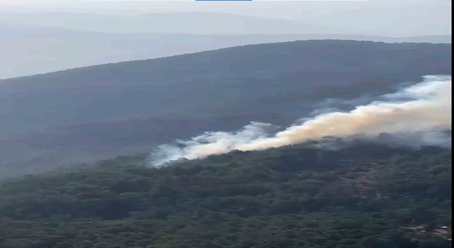 Köyceğiz Otmanlarda orman yangını