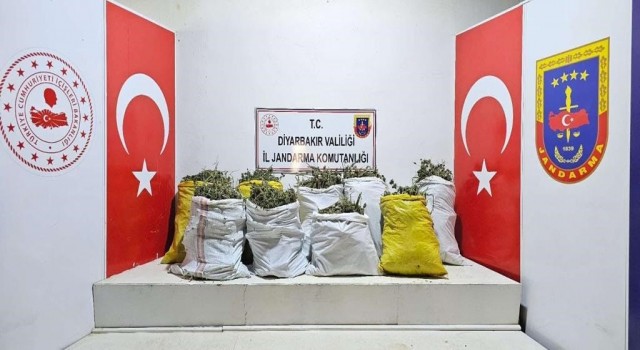 Licede uyuşturucu operasyonu
