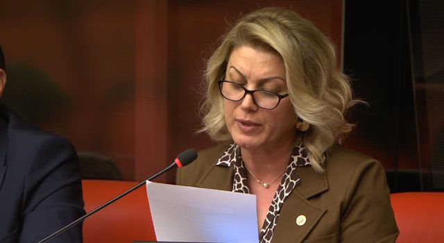 Milletvekili Gedik, Köylerin Elektrik Sorununu TBMM'de gündeme getirdi