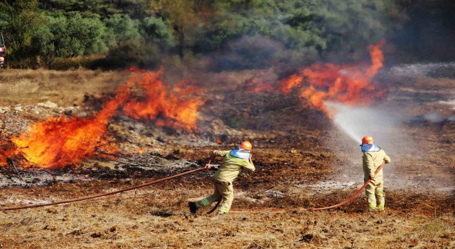 Muğlada bin 144 personelle orman yangını tatbikatı