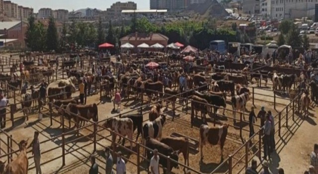 Nevşehir hayvan pazarı şap nedeniyle geçici olarak kapatıldı