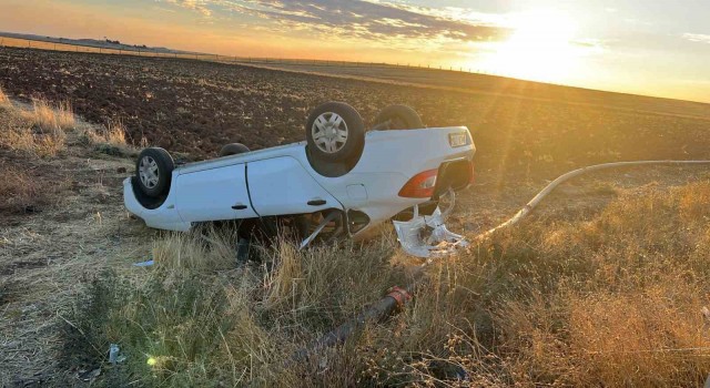 Nusaybinde trafik kazası: 2 yaralı