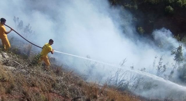 Osmaniye'de orman yangını söndürüldü