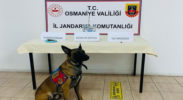 Osmaniye'de uyuşturucu operasyonu: 6 gözaltı