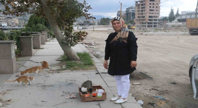Sağlık çalışanı, sayıları 100ü aşan sokak hayvanlarının umudu oldu