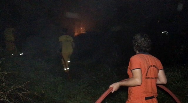 Sazlık alanda korkutan yangın, ormancılar ile itfaiye müdahale etti