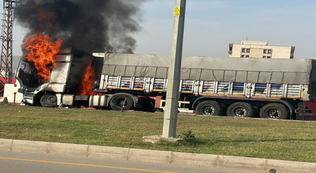 Şırnakta freni boşalan kömür yüklü kamyon bariyerlere çarparak yandı