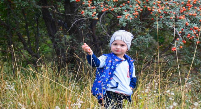 Tatvanda “Sonbahar” güzelliği