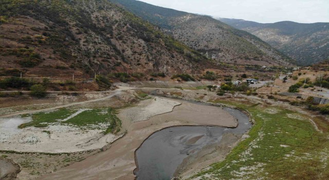 Torul Barajında sular çekildi, tarihi Torul Köprüsü gün yüzüne çıktı