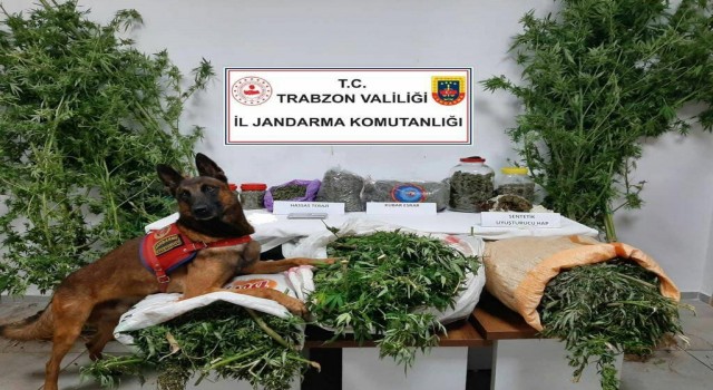 Trabzonda 41 kilogram uyuşturucu madde ele geçirildi, 5 şüpheli gözaltına alındı