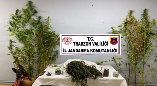 Trabzonda uyuşturucu operasyon: 3 gözaltı
