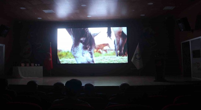 Uluslararası Göbeklitepe Kısa Film Festivaline 79 ülkeden 953 film katıldı