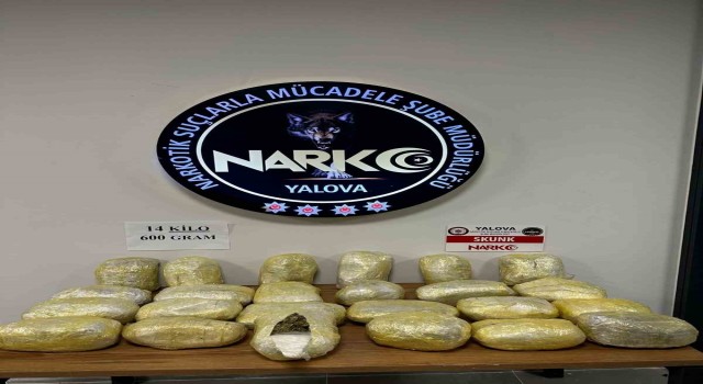 Yalovada 14 kilo 600 gram skunk ele geçirildi