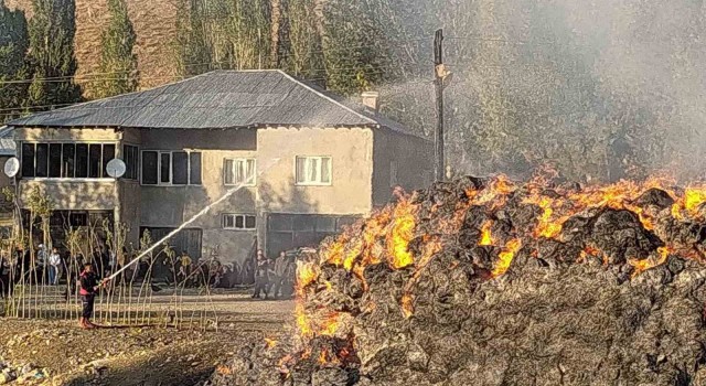 Yüksekovada çıkan yangında 20 bin bağ ot yandı