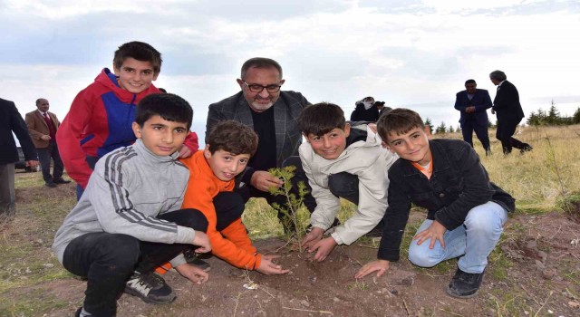 Ahlatta çam fidanları toprakla buluştu
