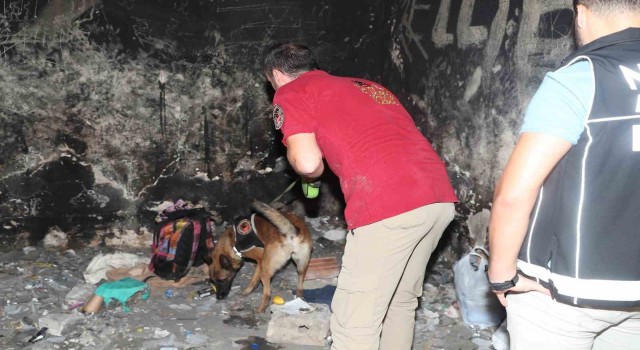 Antalyada 106 ekip ve 217 personelle şok uygulama