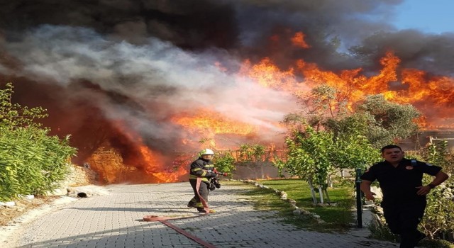 Aydın ve Muğlada 819 hektar alan yandı