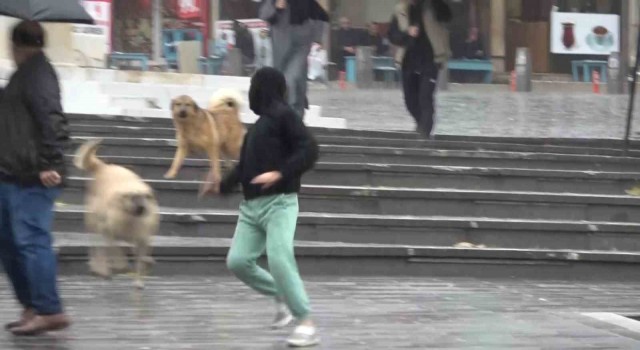 Bursada sağanak yağış etkili oldu, yarın kar geliyor