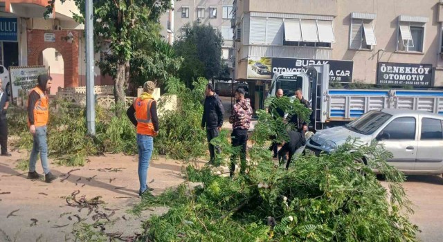 Büyükşehir ekiplerinin fırtına mesaisi