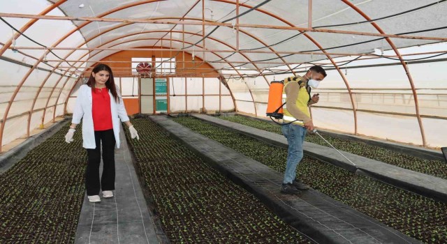 Büyükşehirden her mevsim için çiçek