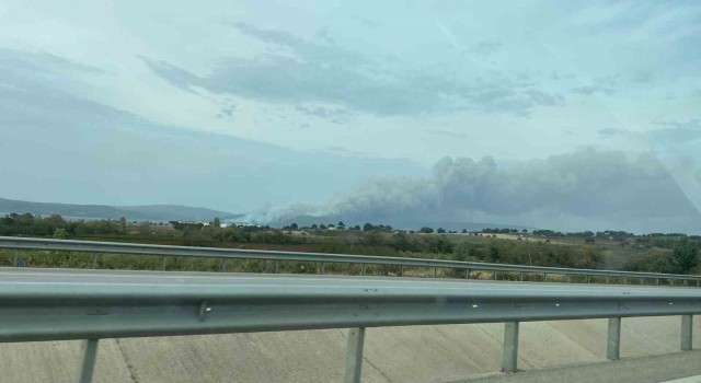 Çanakkalede orman yangını