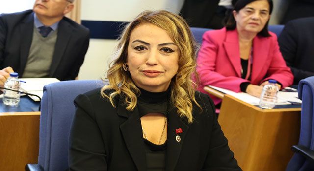 CHP'li Yıldırım Kara: "Depremden etkilenen illerde ruh sağlığı sorunları artıyor"