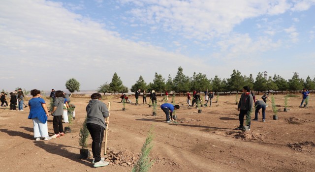 Diyarbakırda öğrenciler fidan dikti