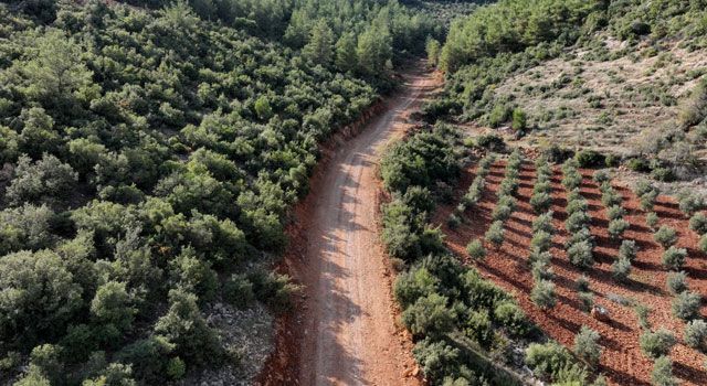 Hatay'da Hassa ve İskenderun Arasındaki Mesafe Kısalacak