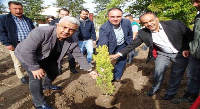 Hisarcıkta 100 fidan toprakla buluştu