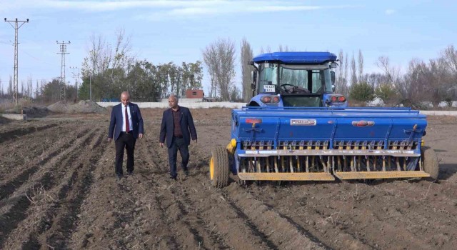 Iğdırda yerli ve milli buğday ekildi
