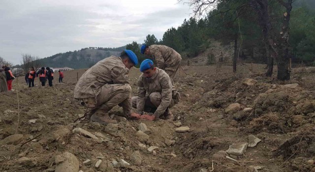 Karabükte 41 noktada 52 bin 46 fidan toprakla buluşturuldu