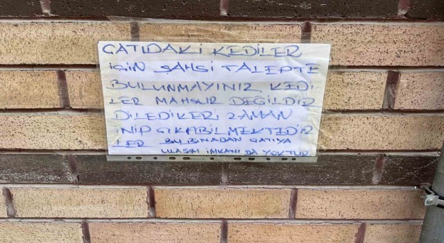 Mahsur kaldığı sanılan kedileri kurtarmak isteyenlere bilgilendirme yazısı astı