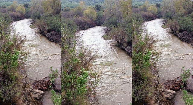 Milastaki Hamzabey Çayı, eski günlerine geri döndü