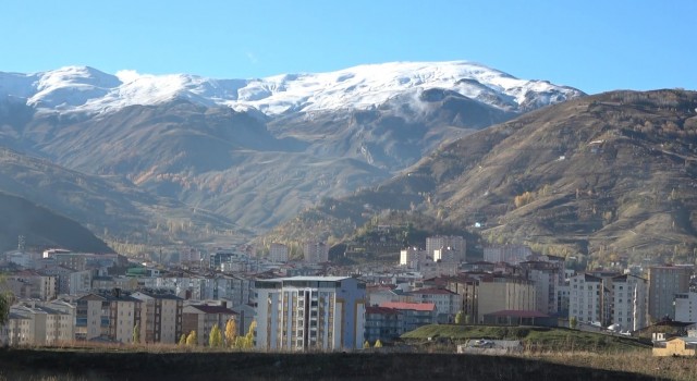 Muşun yüksek kesimleri beyaz örtü ile kaplandı