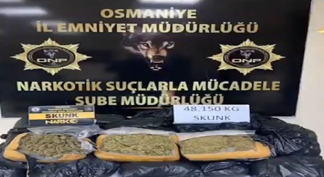 Osmaniye'de 48 kilo skunk ele geçirildi